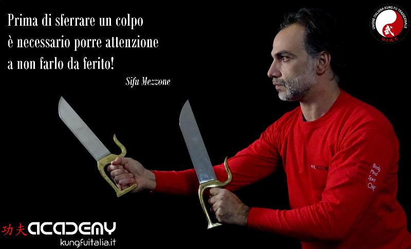 Kung Fu Academy Caserta di Sifu Salvatore Mezzone Accademia di Wing Chun e Tai Chi Quan (1)